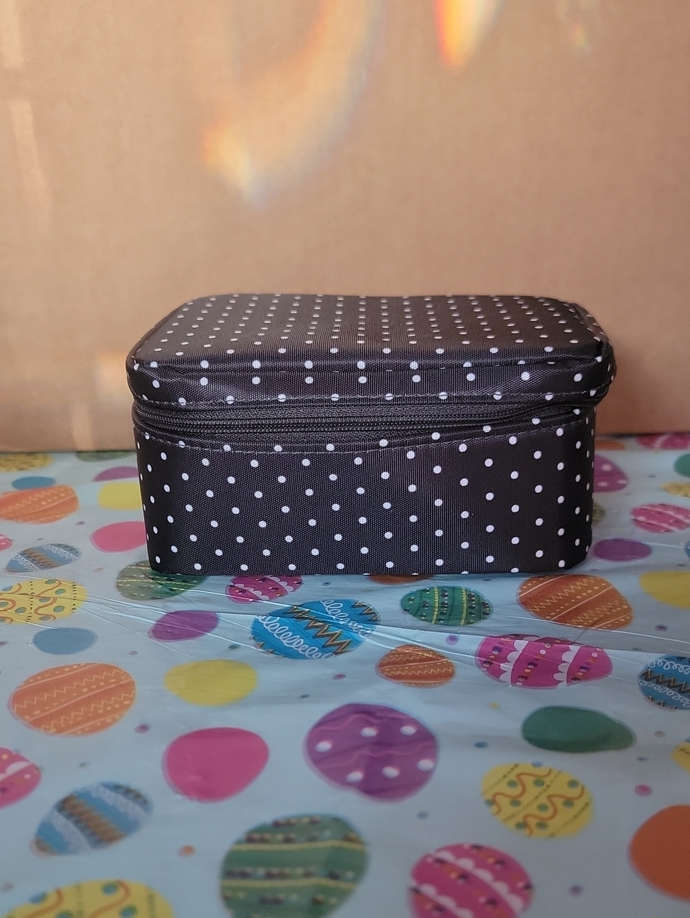Black Polka Dot Zippered Cosmetic Case